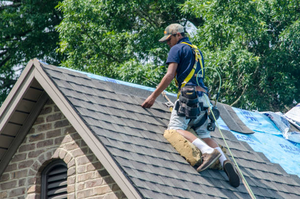 Best Storm Damage Roof Repair  in Covington, KY